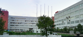  Corporate Profile